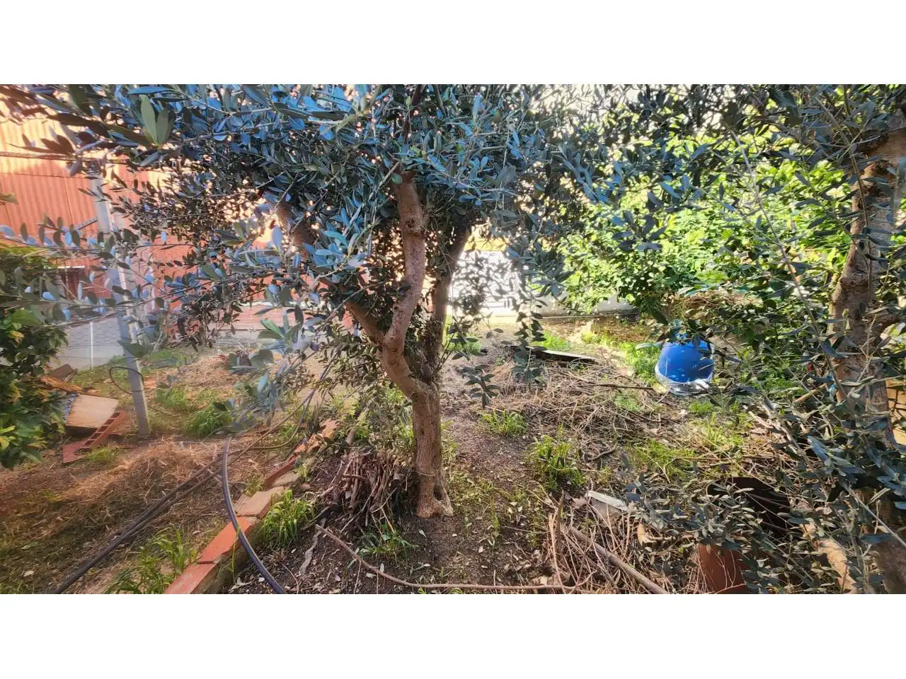 Jardín de Terreno en venta en Rubí