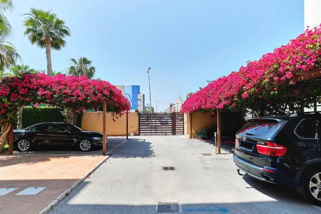 Apartments for rent in Calle Agua, 7, Aguamarina
