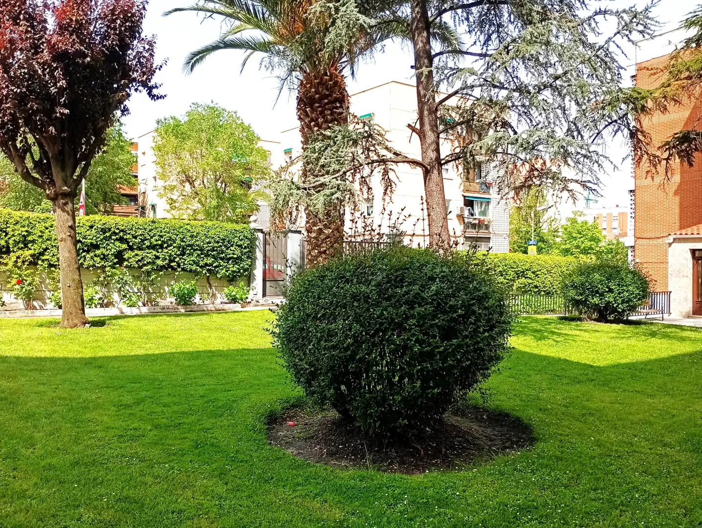 Flat for sale in Casco Antiguo