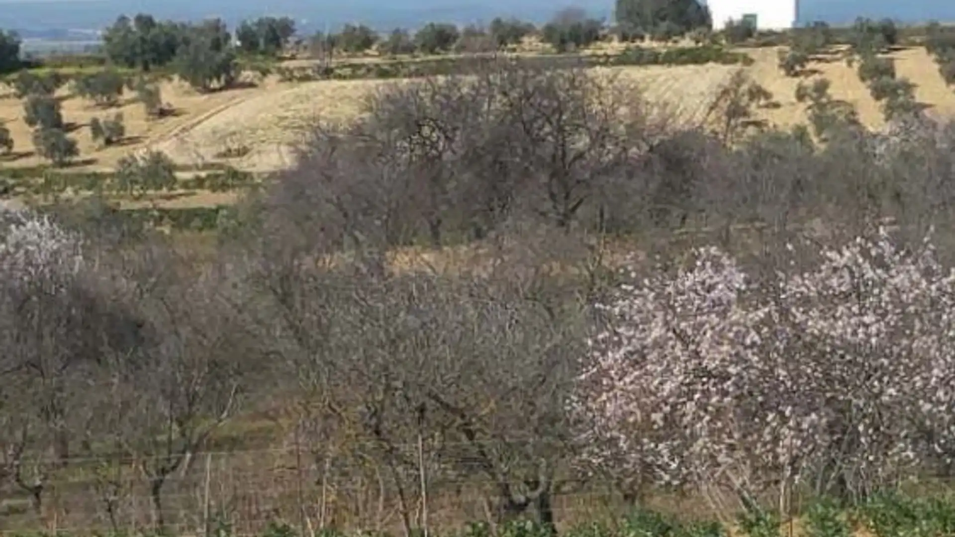 Residencial en venta en Bonares