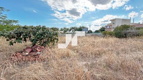 Foto 5 von Grundstücke zum Verkauf in Iturbi, Les Alqueries / Alquerías del Niño Perdido, Castellón