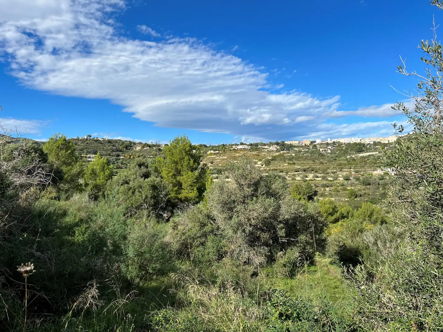 Terreno rústico en venta en Benissa pueblo, imagen 4
