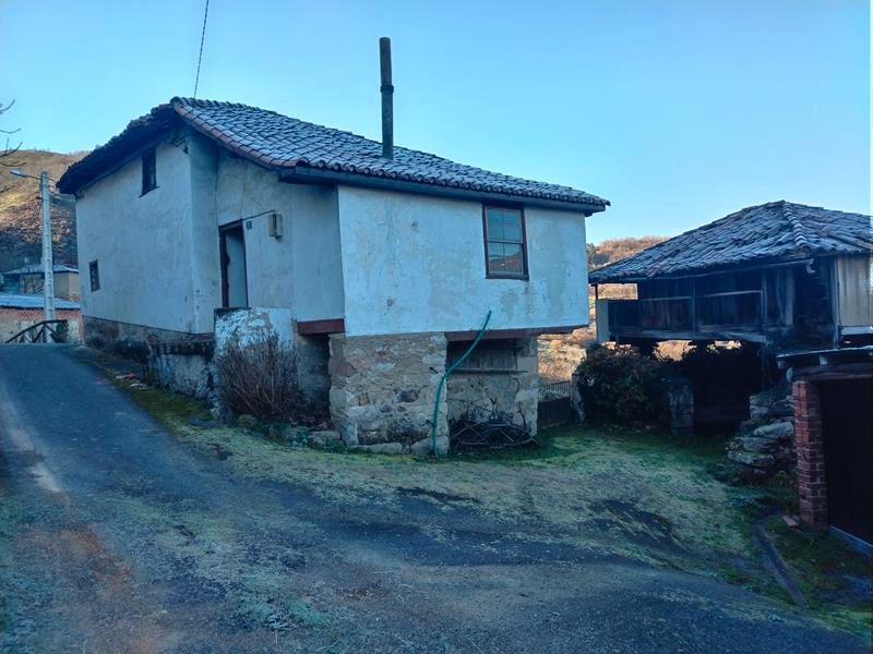 Vista exterior de Casa o xalet en venda en Tineo amb Moblat