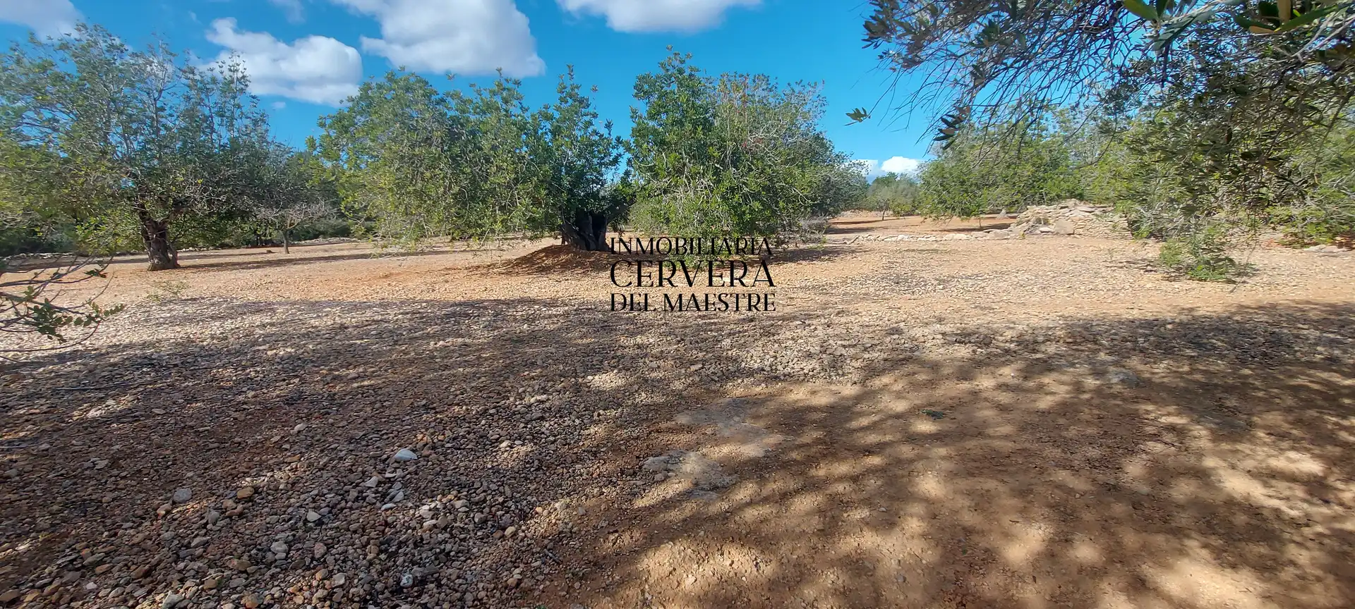 Terreno rustico in vendita a Partidas de interior - Zona Rústica, imagen 2