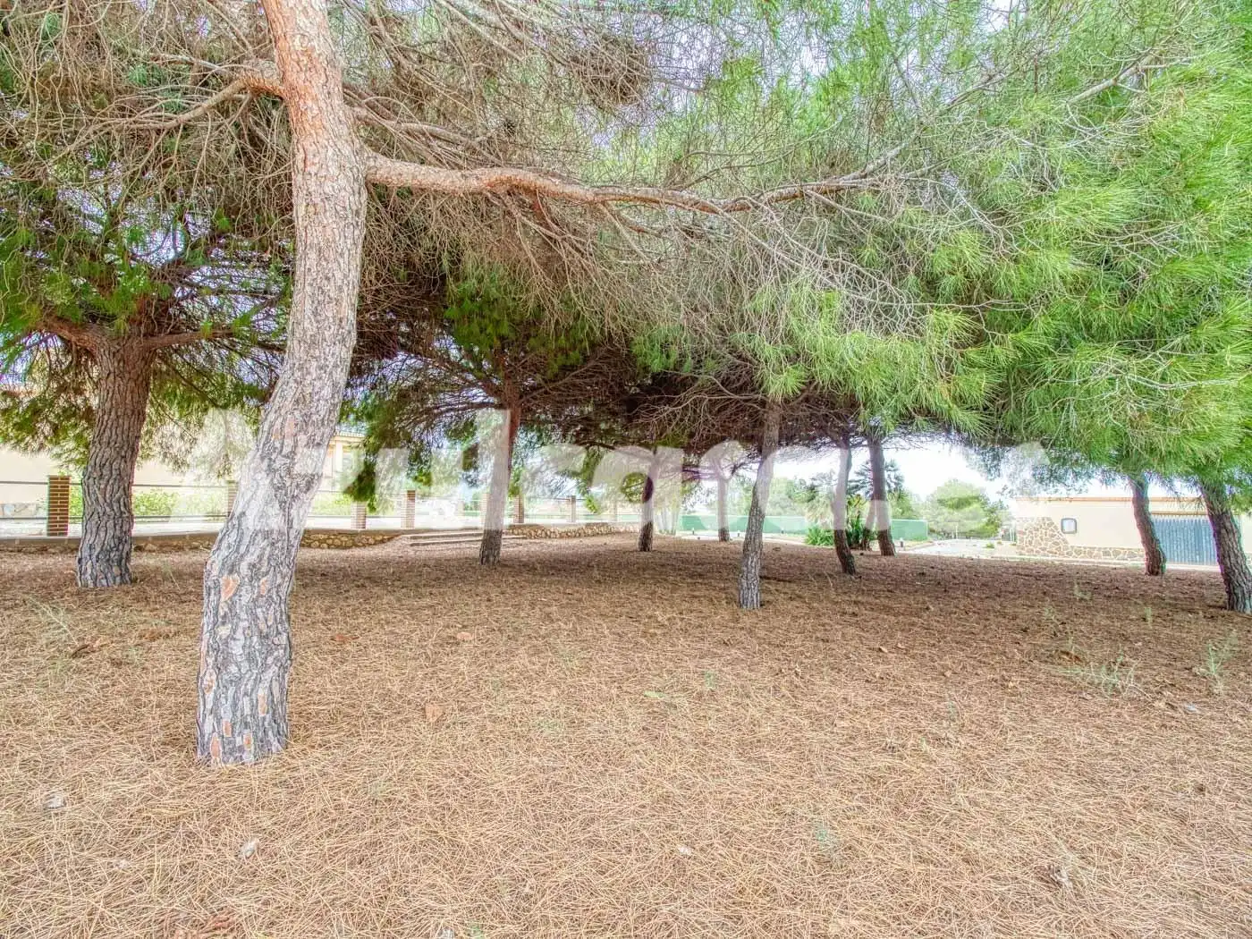 Casa o xalet en venda en Cartagena amb Jardí privat, Terrassa i Traster