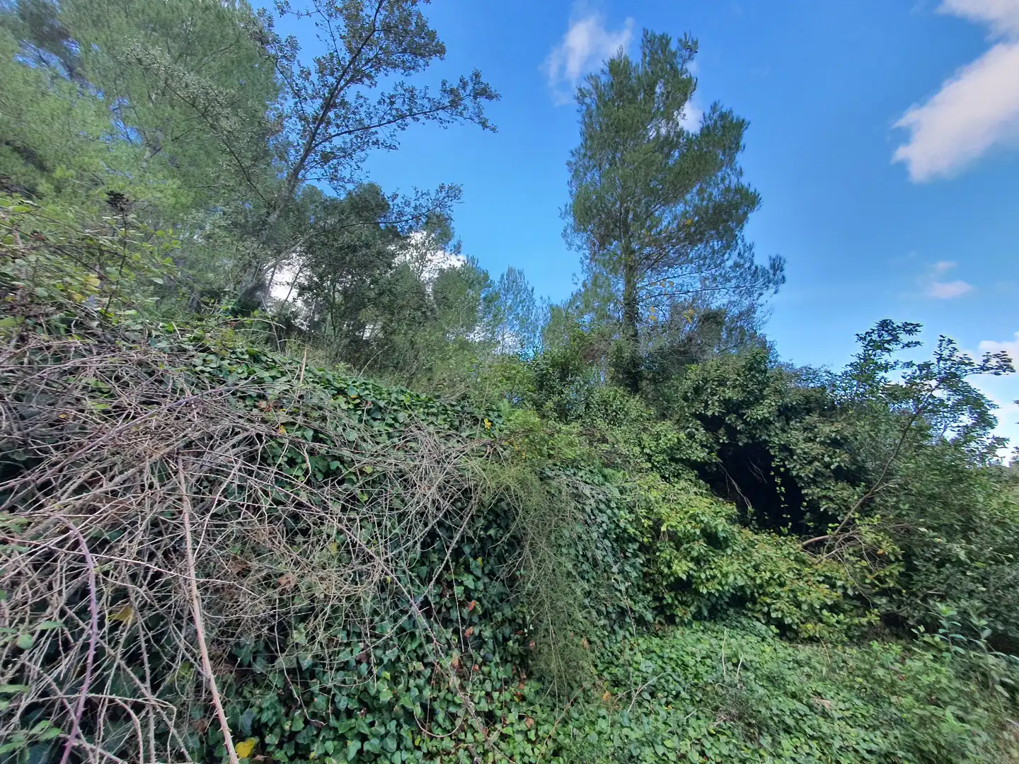 Casa en venta en Benifallet, imagen 40