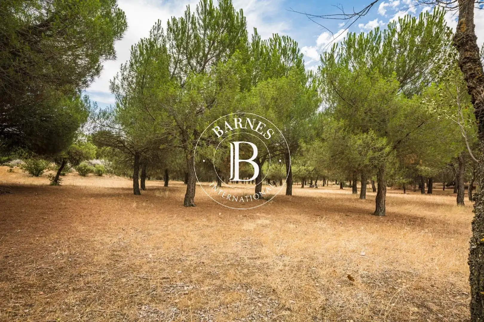 Casa o chalet en venta en Ribatejada con Aire acondicionado, Calefacción y Piscina
