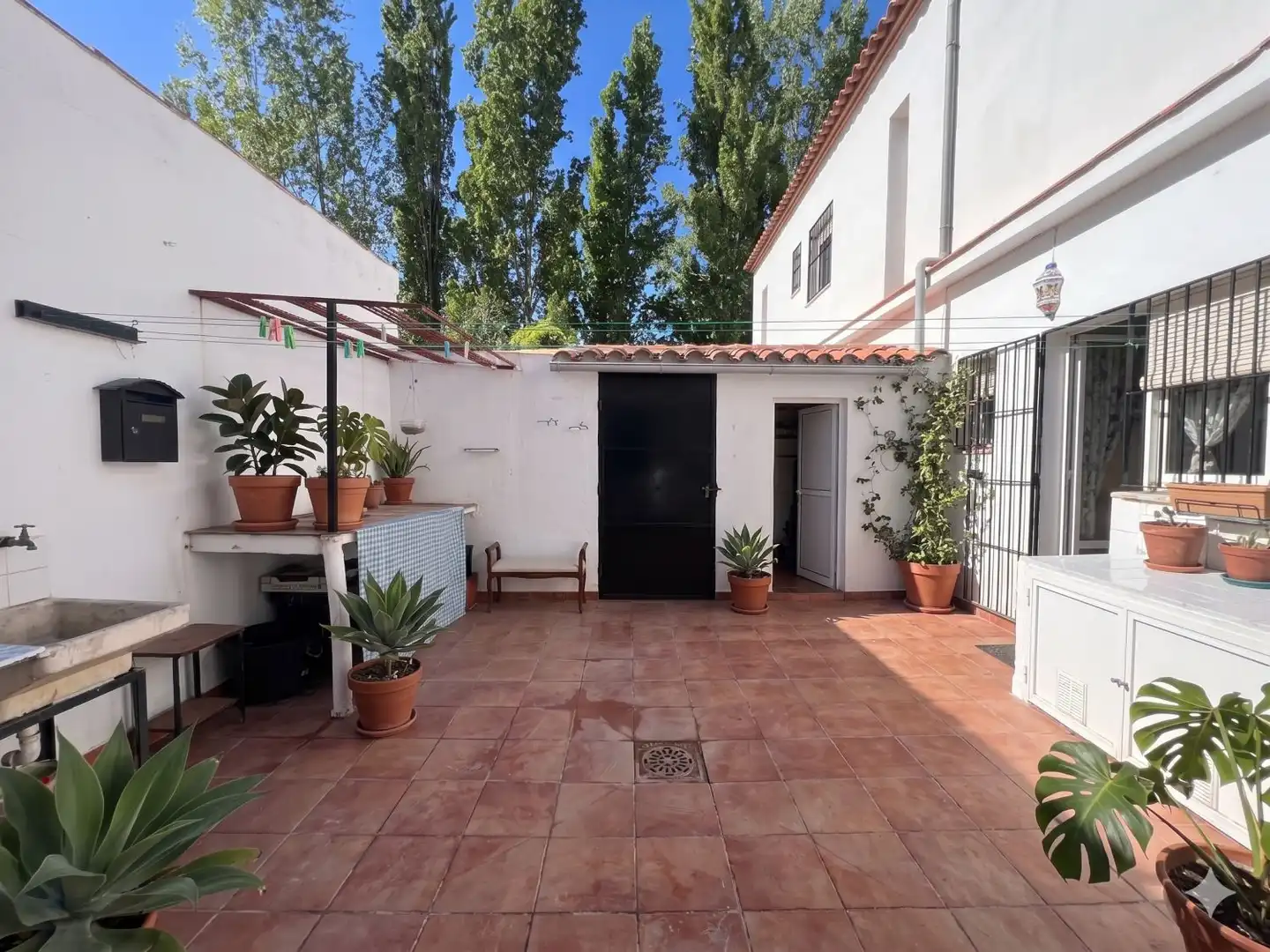 Jardí de Casa o xalet en venda en San Nicolás del Puerto amb Traster