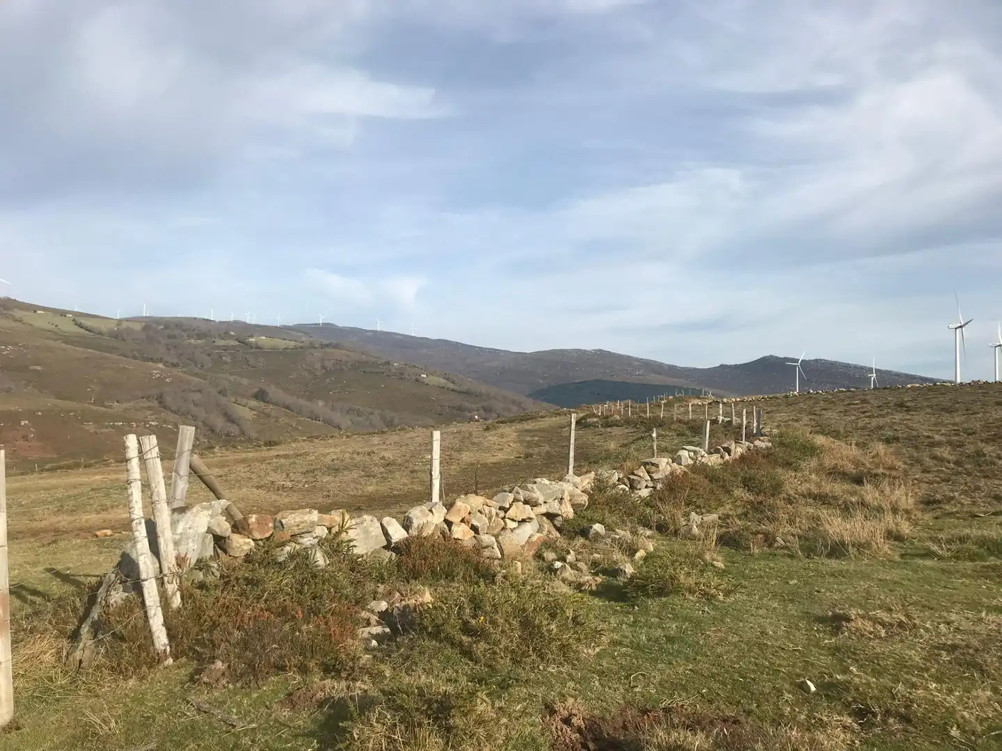 Terreni e lotti in vendita a Merindad de Valdeporres