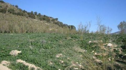 TERRENO URBANIZABLE A LA VENTA EN ATARFECAPARACENA GRANADA, imatge 4