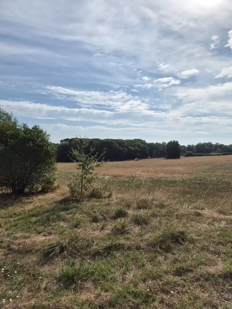 Country house for sale in Diseminado Diseminat 101, imagen 15
