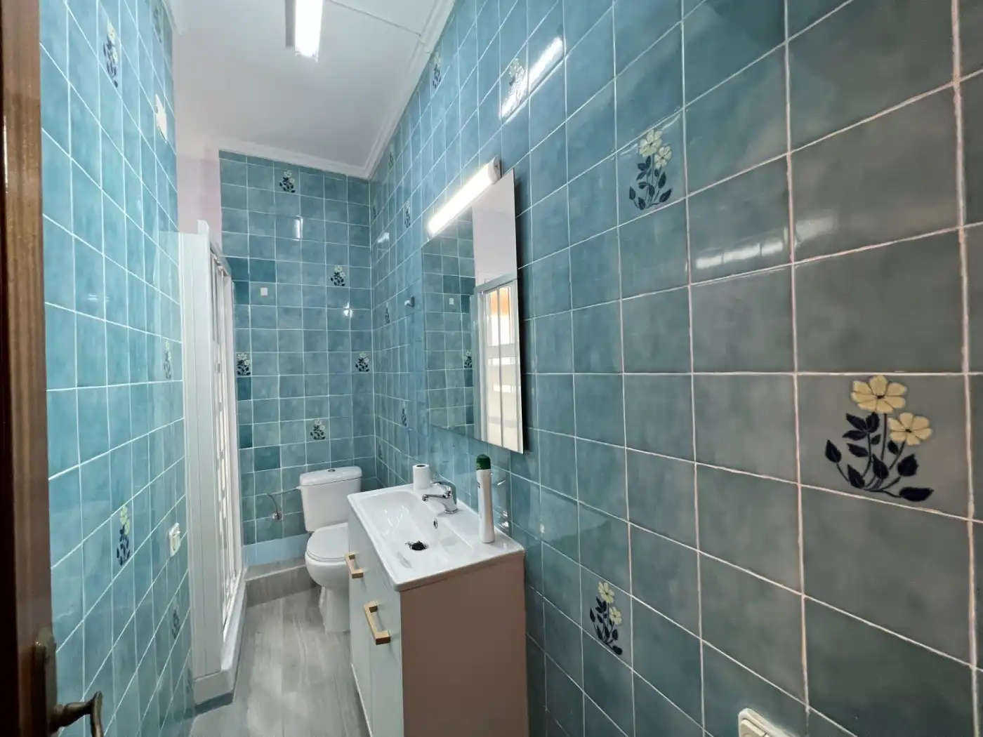 Wohnung zur Miete in L'Illa Perduda