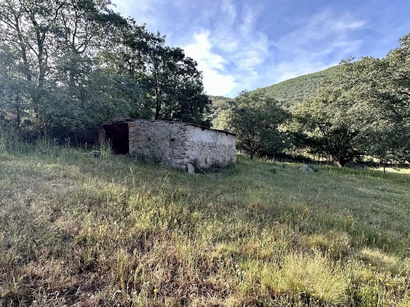 Terreni e lotti in vendita a Malpartida de Plasencia, imagen 5
