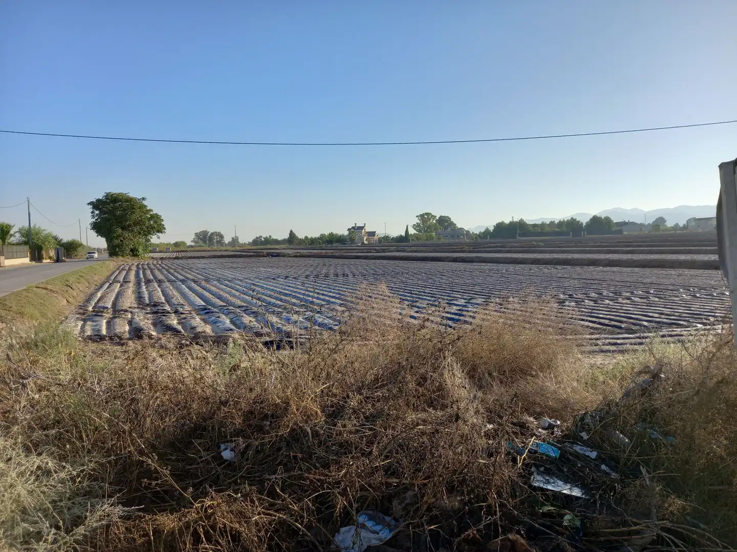 Lands and plots for sale in Pedanías Sur, imagen 5