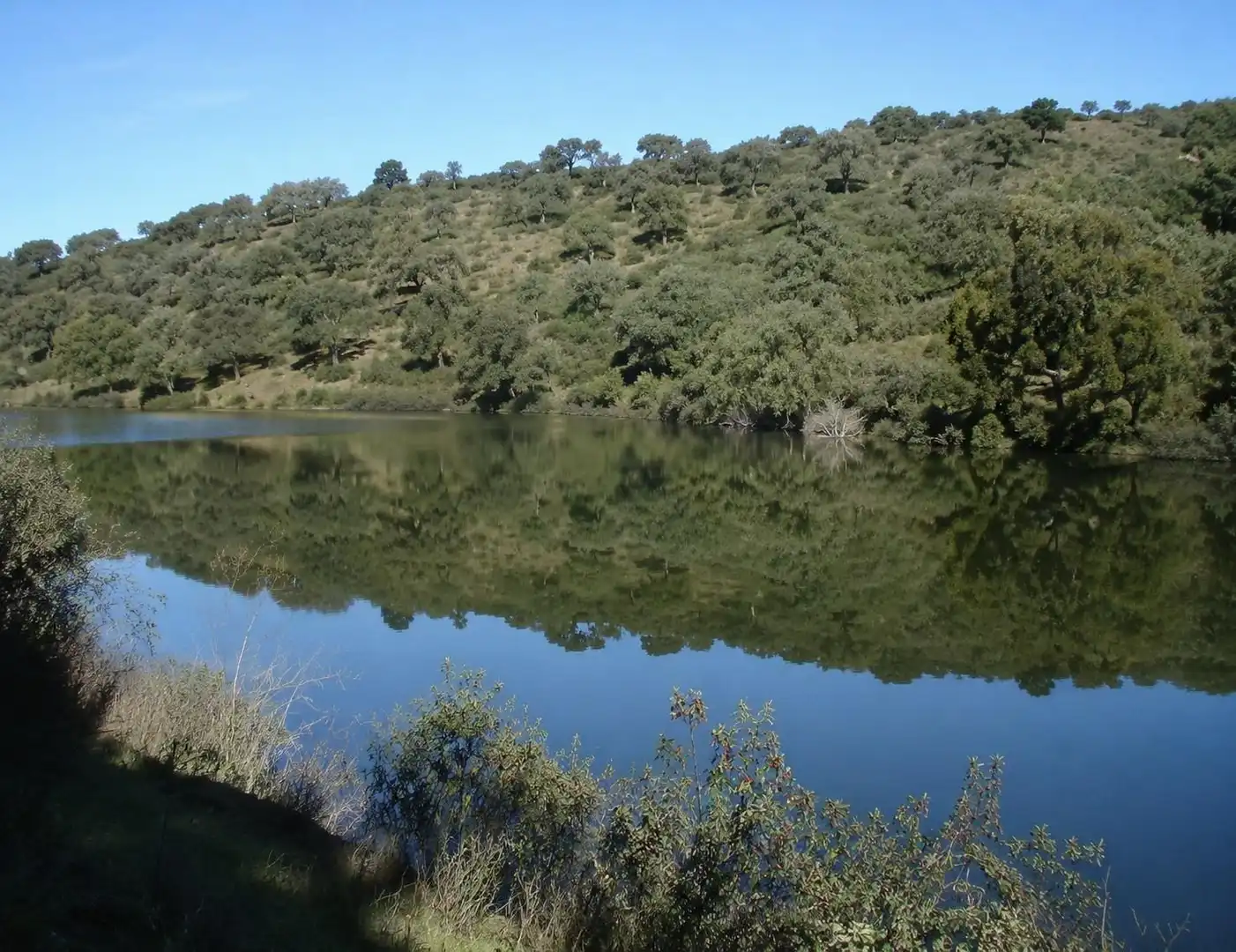 Jardí de Finca rústica en venda en Almadén