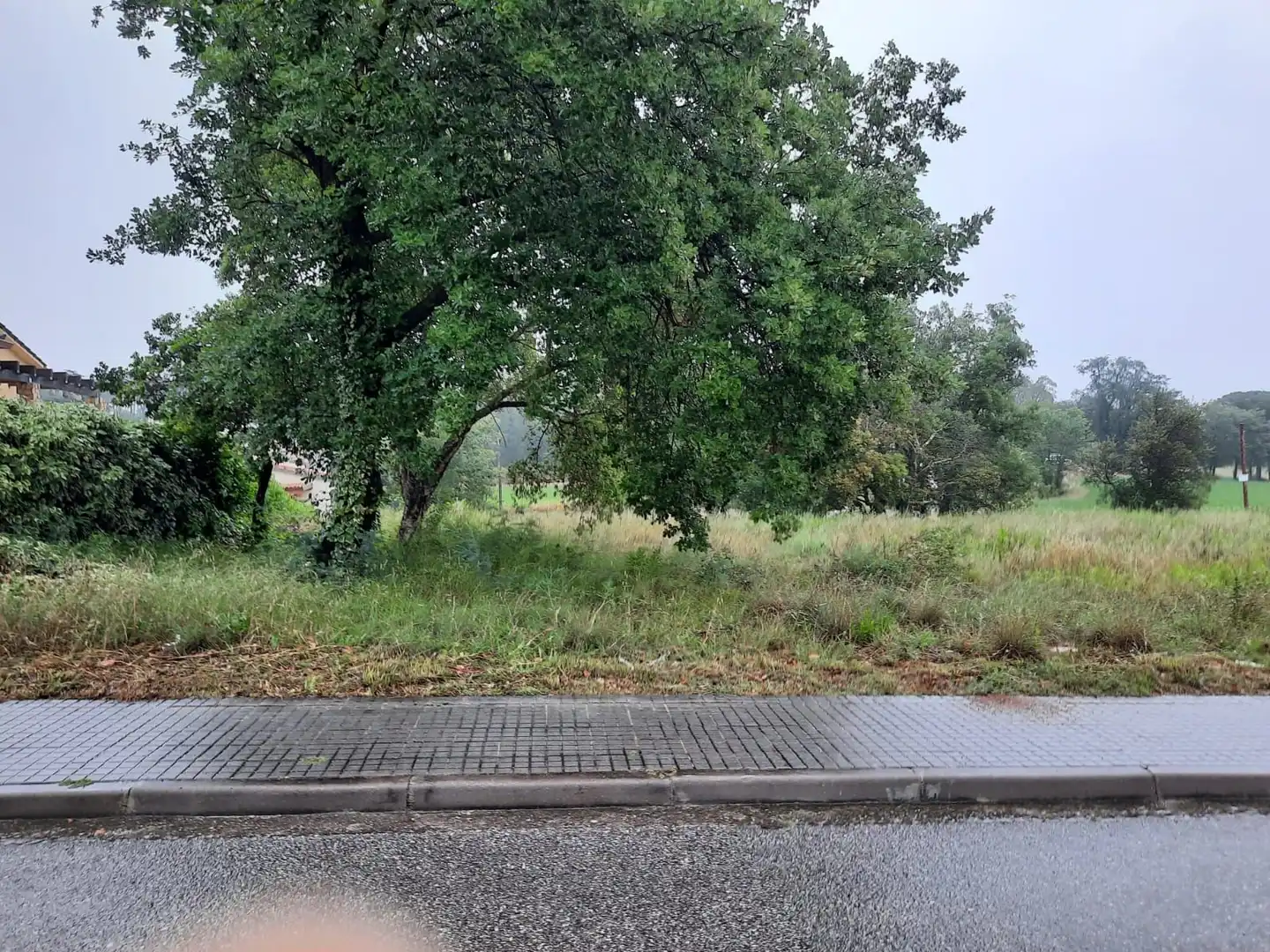 Terreny residencial en venda a Sant Feliu de Buixalleu, imagen 2