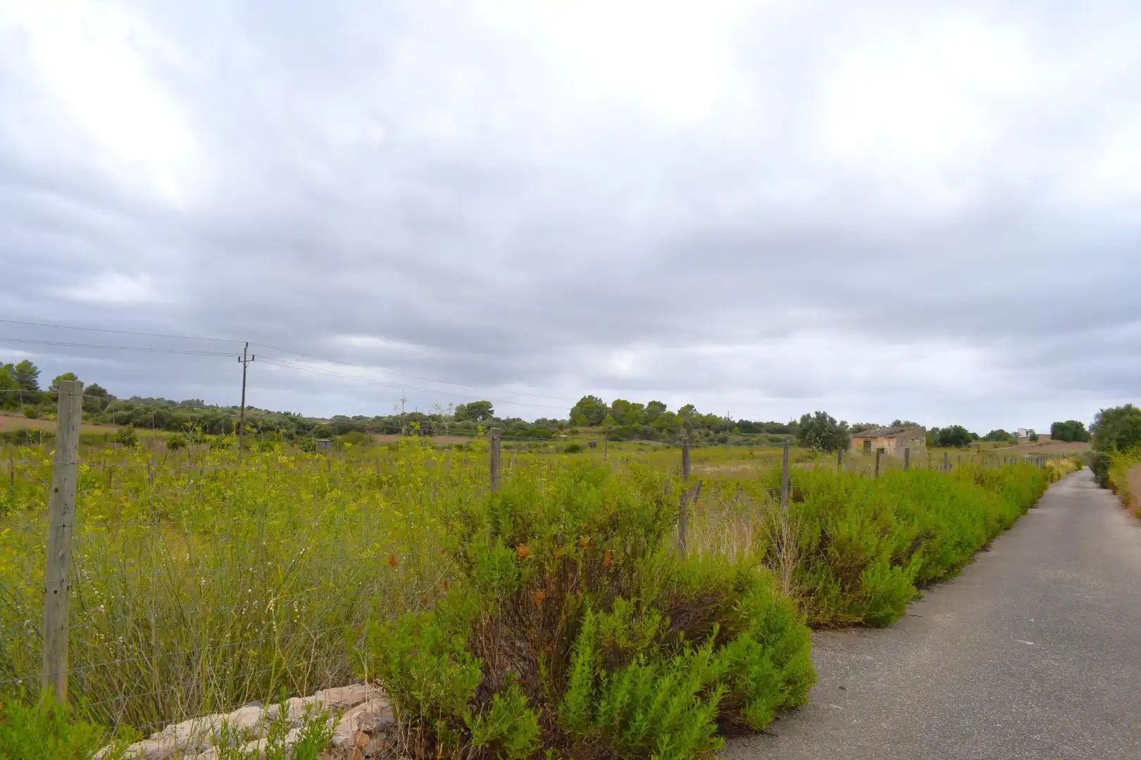 Residential land for sale in Santa Margalida Poble, imagen 20
