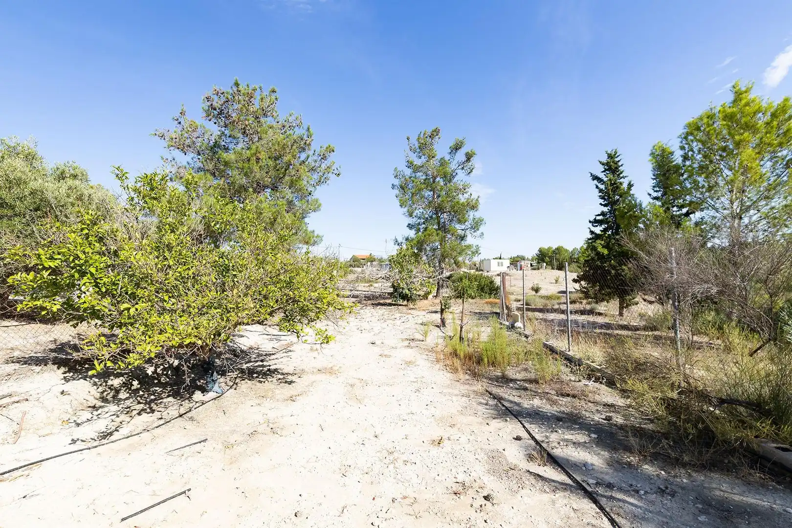 Country homes for sale in Molina de Segura