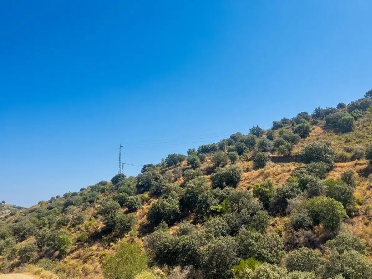 Terreno rustico in vendita a la cañada del castillo, imagen 5