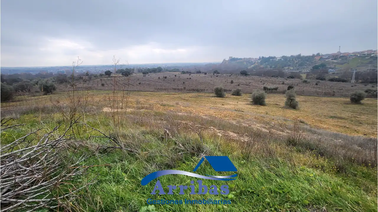 Country homes for sale in Escalona