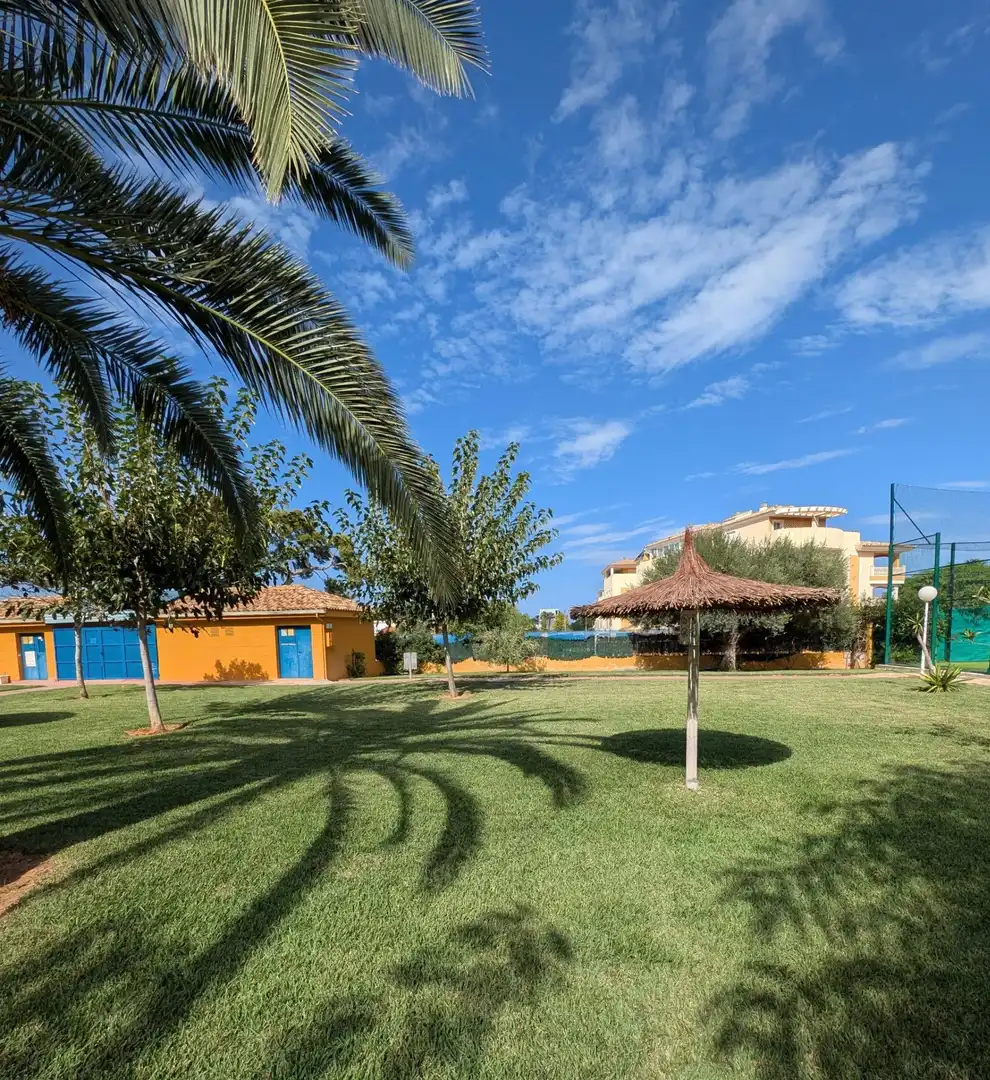 Ático con terraza en venta en Camino Camino Azagador de la Marjal, imagen 2
