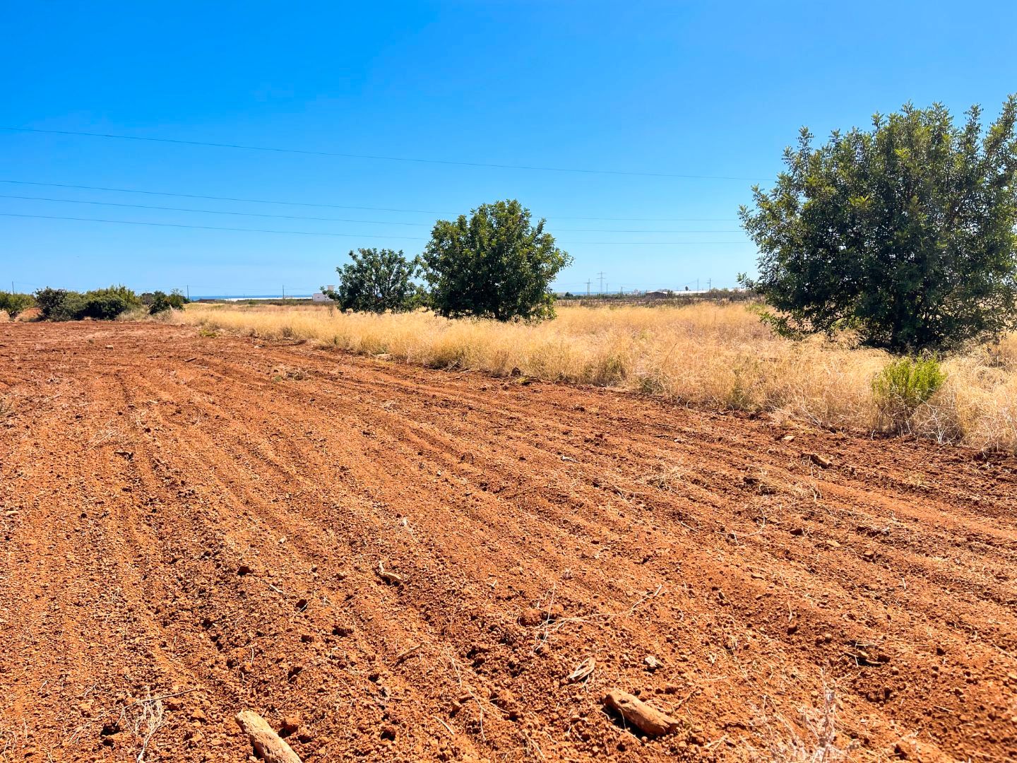 Land for sale in Torreblanca