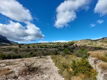 Terreno residencial en venta en La Vall de Gallinera