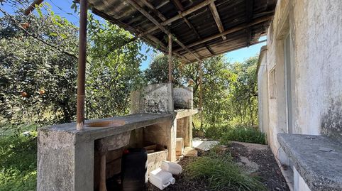 Foto 4 de Finca rústica en venda a Rafelguaraf, Valencia