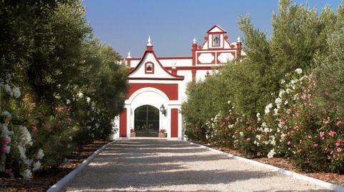 Foto 4 de Finca rústica en venda a Montellano, Sevilla