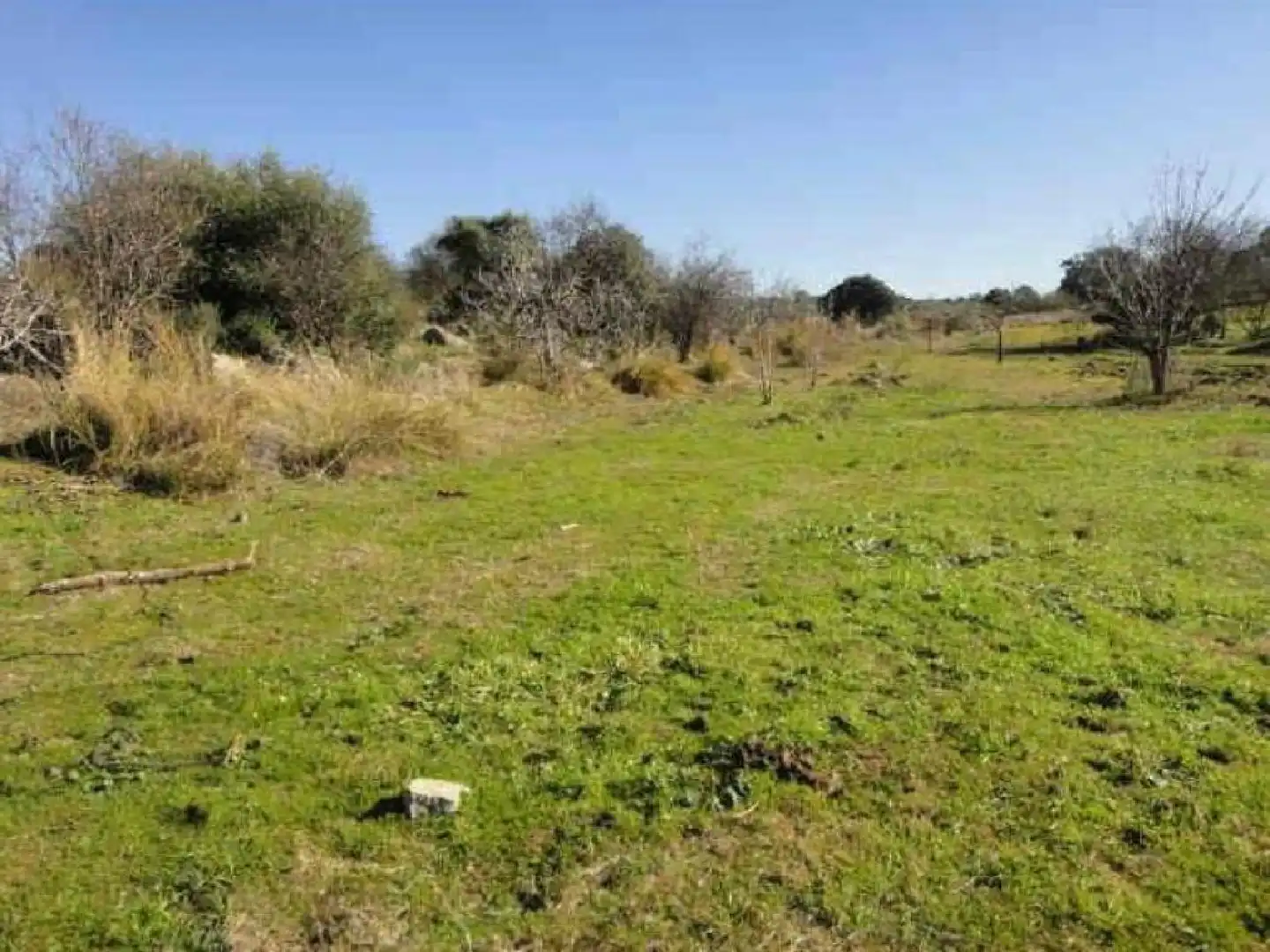 Residential for sale in Esparragosa de la Serena