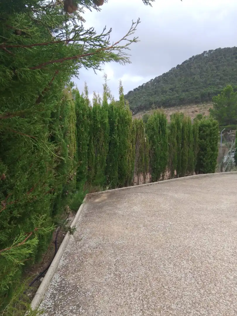 Vista exterior de Casa o xalet en venda en Tibi amb Jardí privat, Terrassa i Moblat