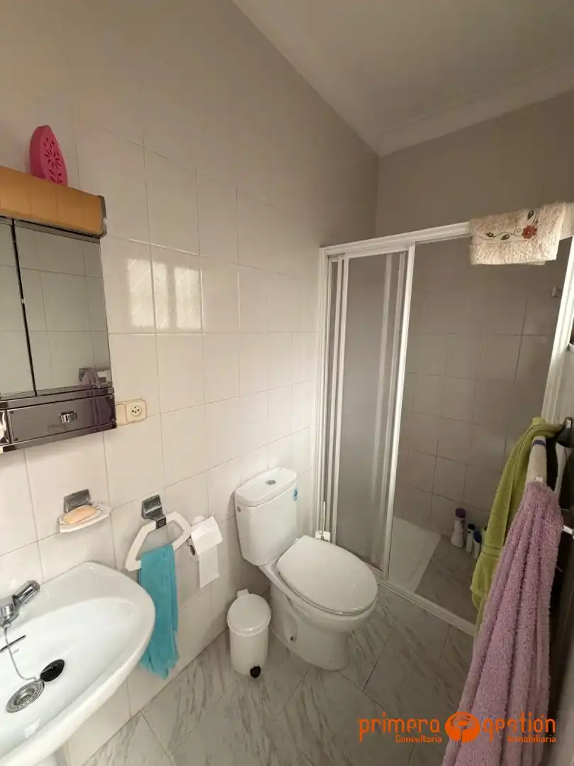 Bany de Casa o xalet en venda en La Luisiana amb Terrassa