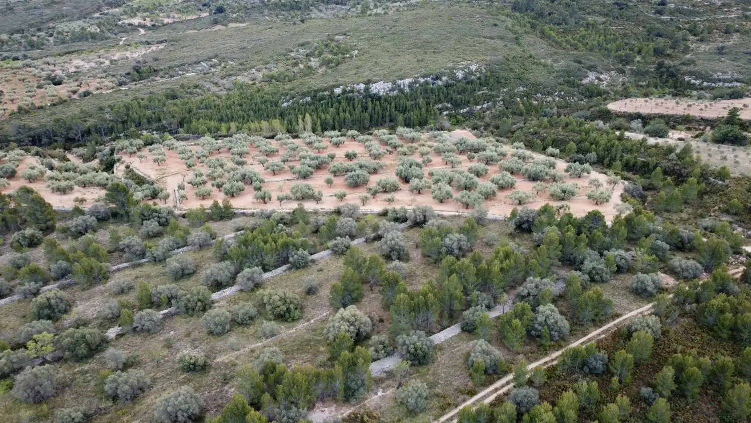 Grundstücke zum Verkauf in Canet lo Roig