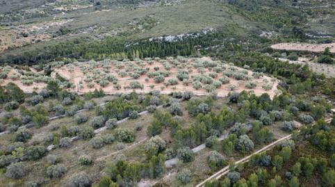 Foto 4 von Grundstücke zum Verkauf in Plaza País Valencia, 5, Canet lo Roig, Castellón