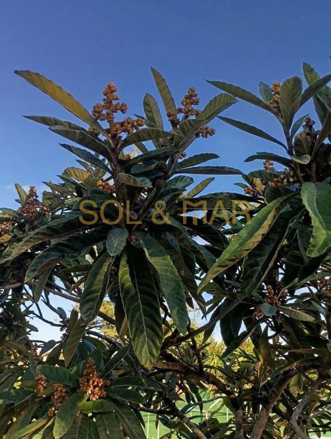 Finca rústica en venta en El Romeral - Peñón de Zapata