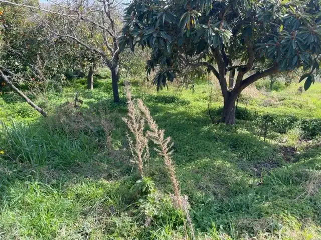 Casa o xalet en venda en Nacimiento amb Traster i Moblat