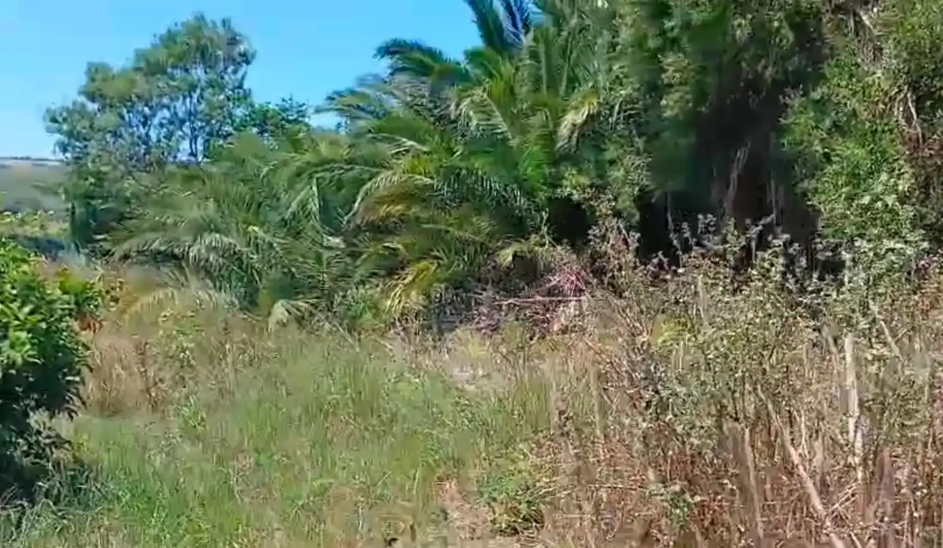 Casa o xalet en venda en Vejer de la Frontera