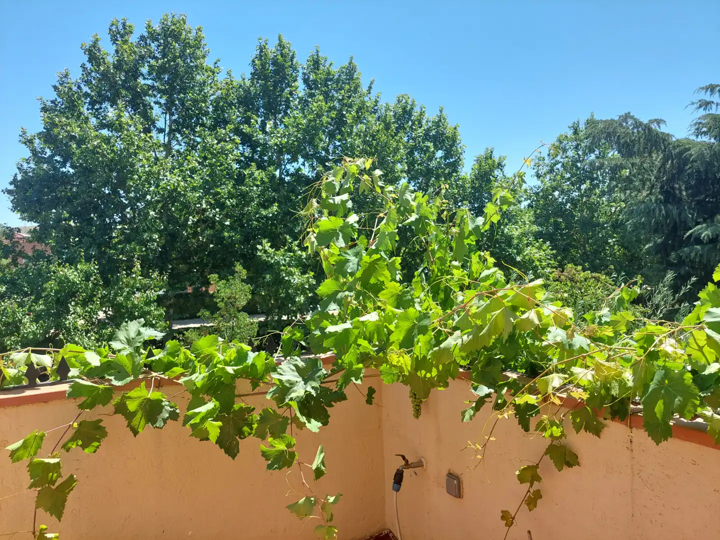 Terraza de Casa adosada en venta en Rivas-Vaciamadrid con Aire acondicionado, Calefacción y Jardín privado
