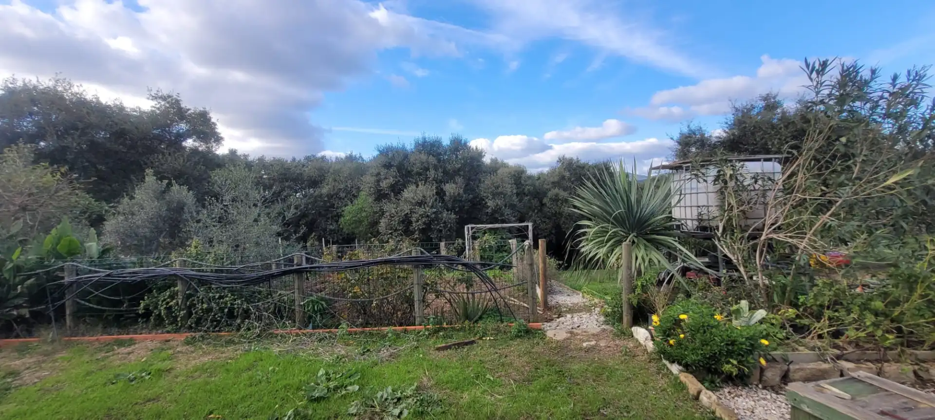 Finca rústica en venda en Los Barrios amb Jardí privat i Moblat