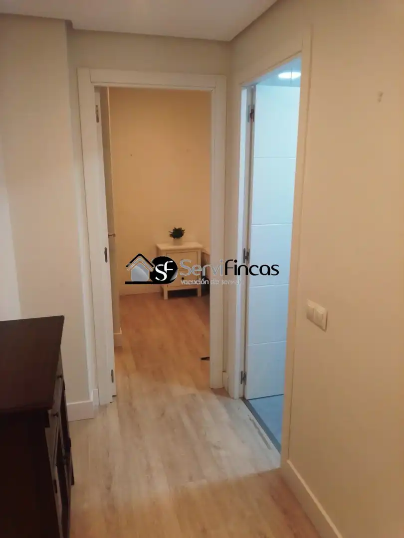 Flat for rent in Madrid  with Air Conditioner, Terrace and Furnished