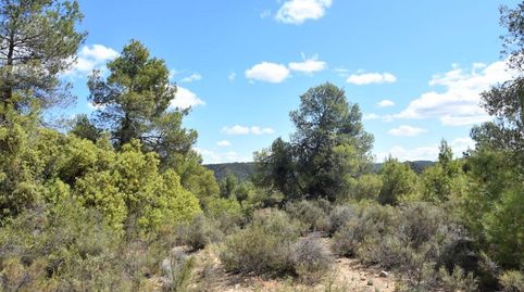 Foto 2 de Terreny en venda a Arens de Lledó, Teruel
