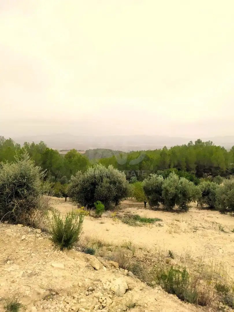 Residential for sale in Ginestar