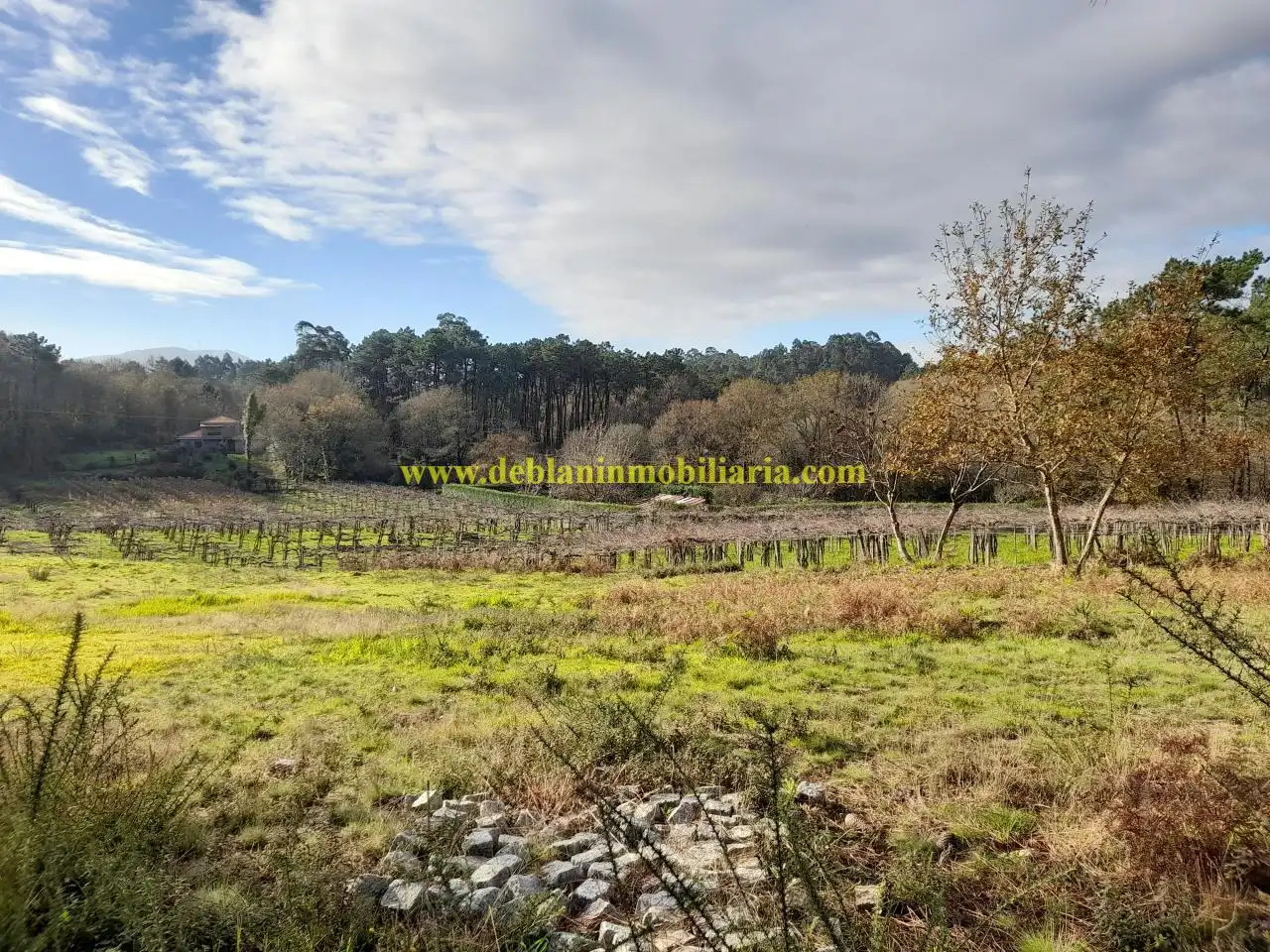 Rural land for sale in Tomiño, imagen 5