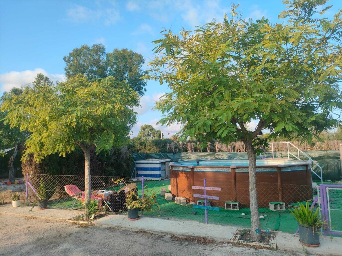 Swimming pool of Country house for sale in Elche / Elx  with Heating, Swimming Pool and Furnished