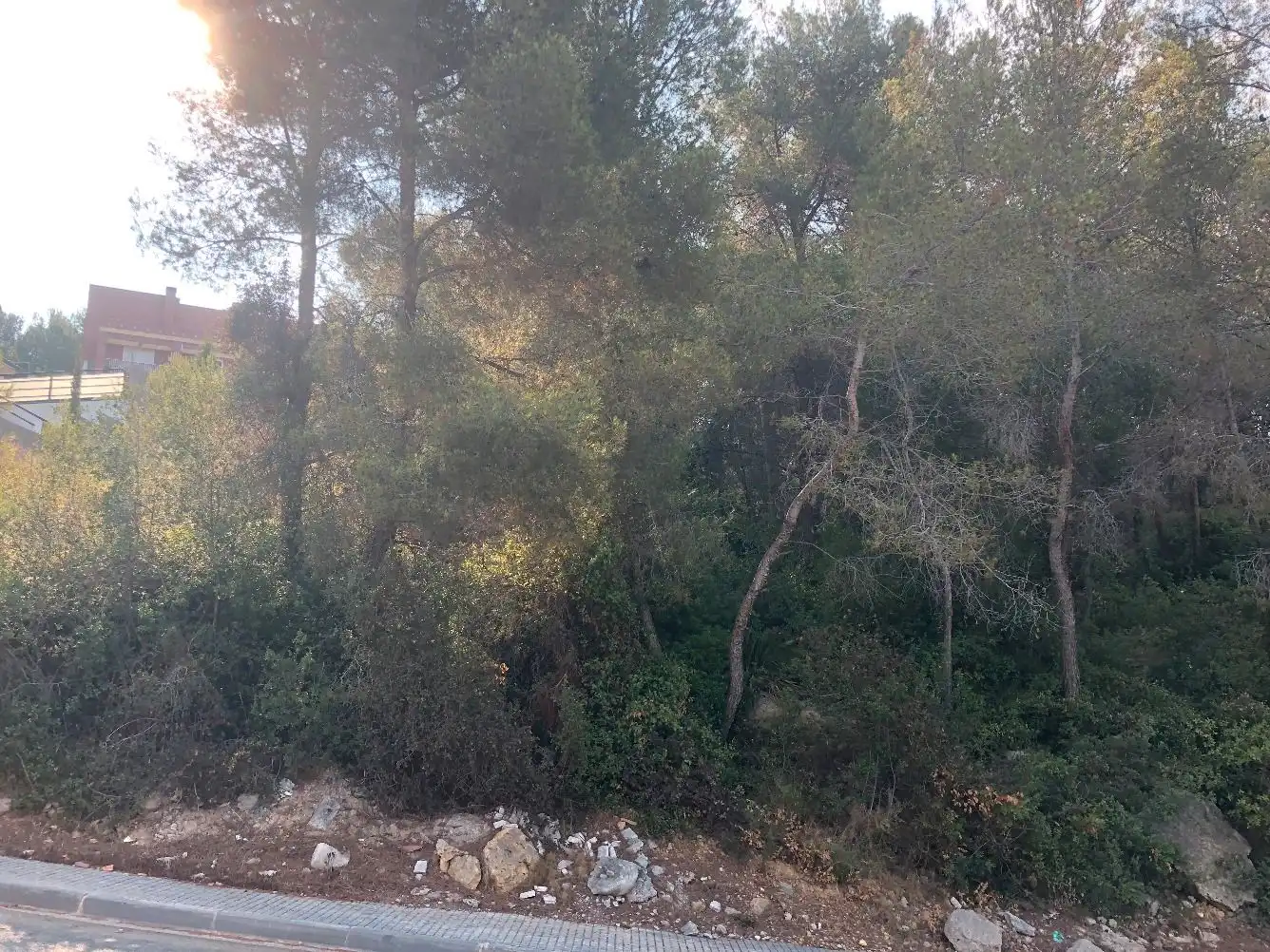 Wohnbaugrundstück zum Verkauf in La Móra, imagen 3