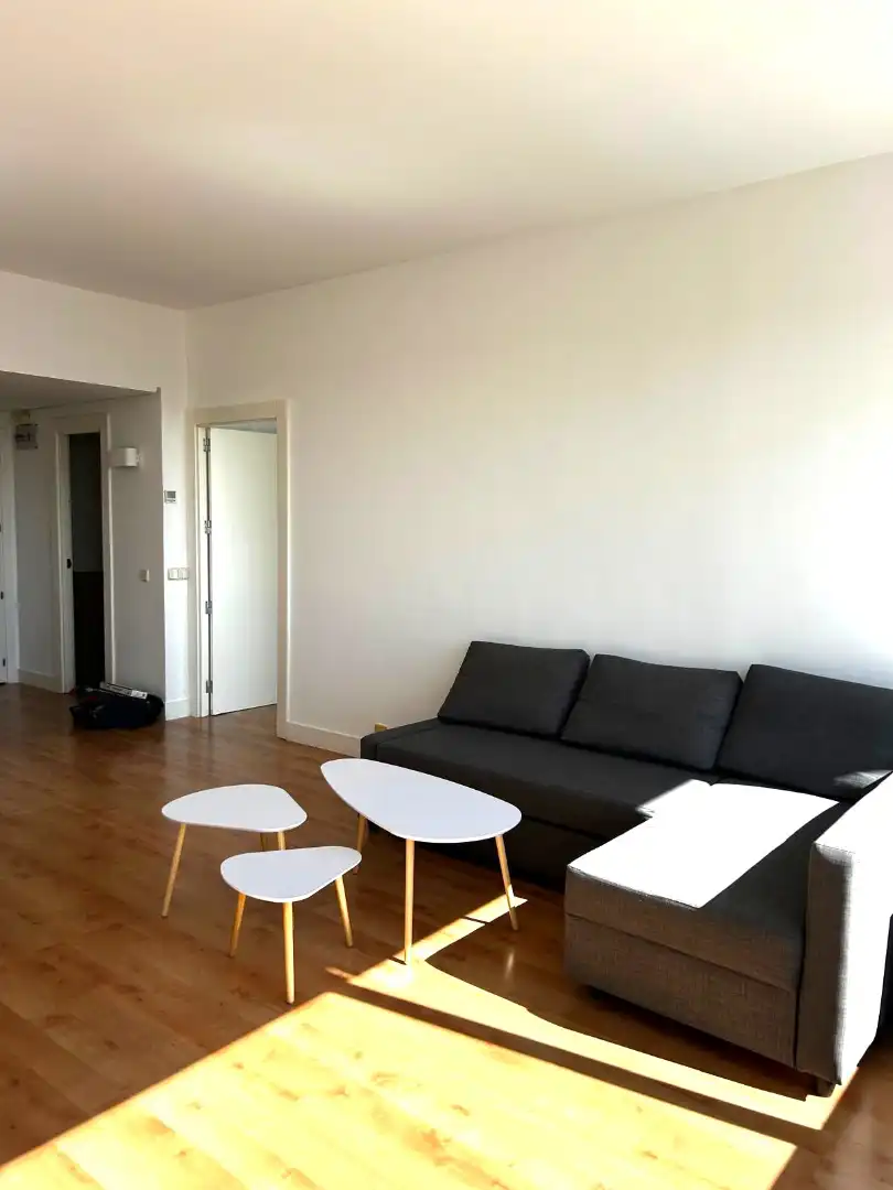 Sala de estar de Apartamento de alquiler en Madrid con Aire acondicionado, Calefacción y Parquet