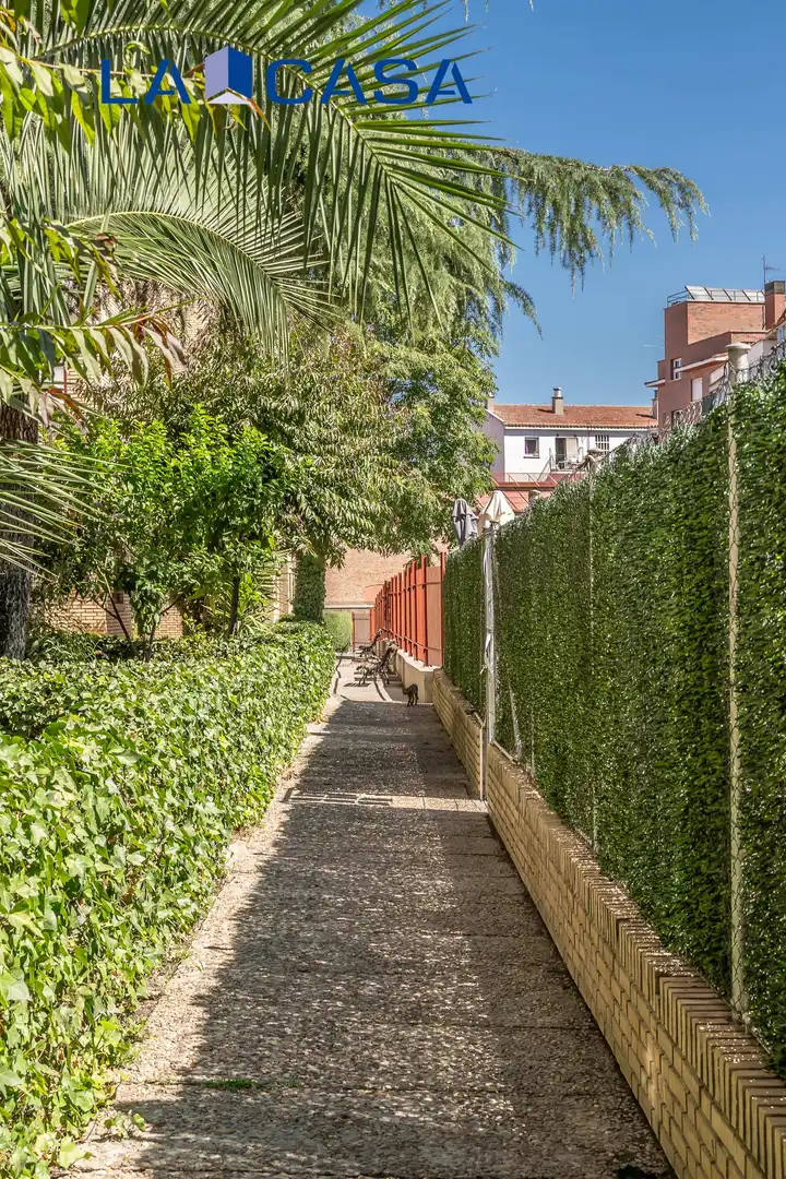 Piso con piscina en venta en Calle del Progreso, imagen 50