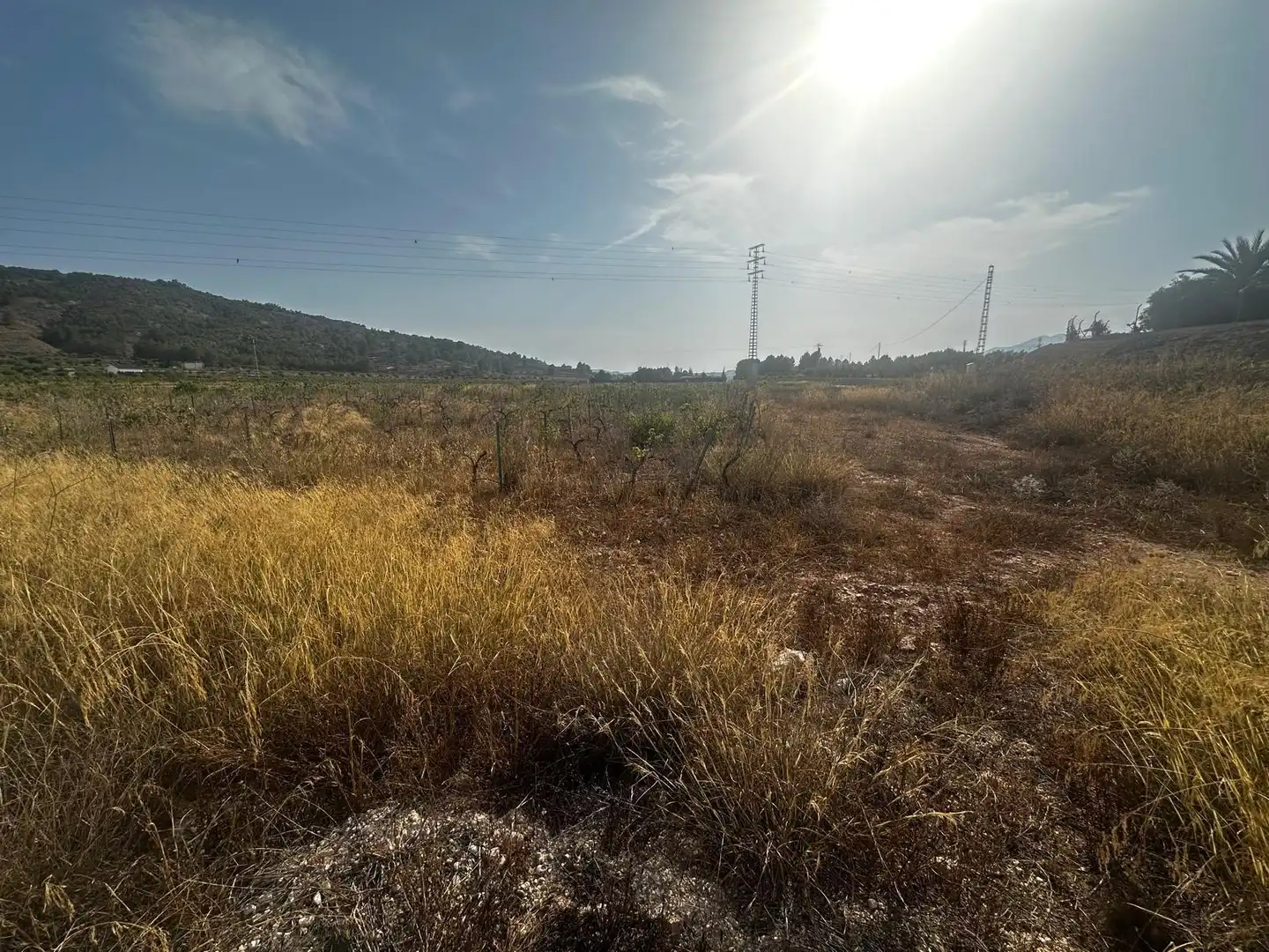 Terreno residencial en venta en El Pinós / Pinoso, imagen 7