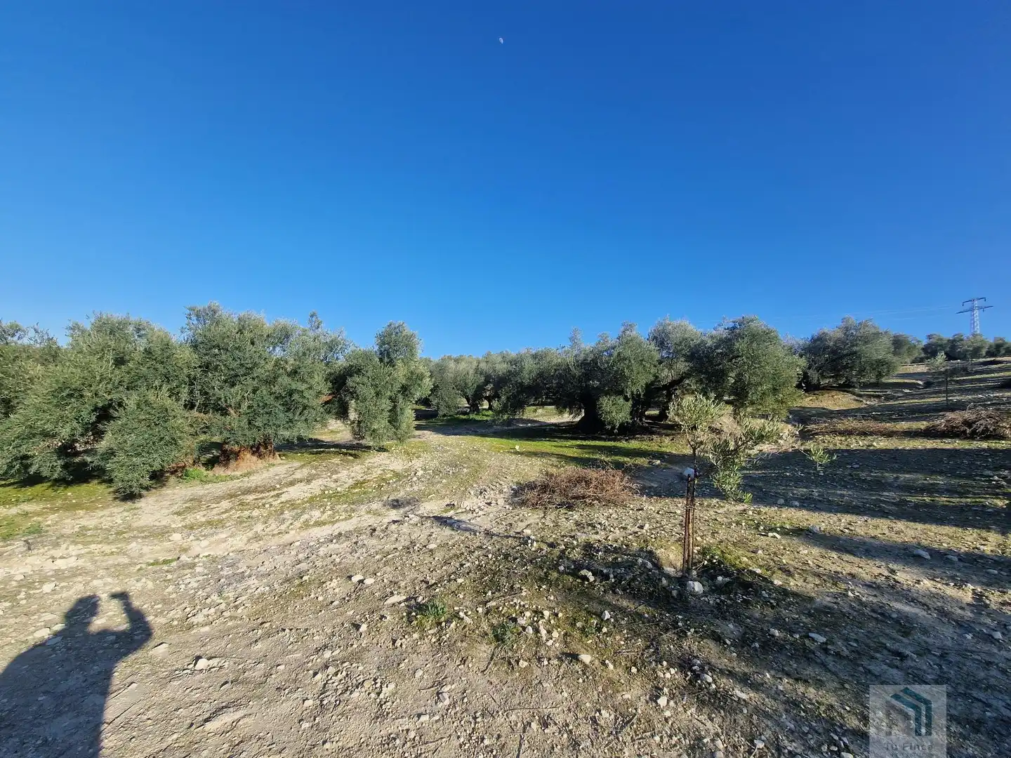 Finca rústica en venda a Montilla