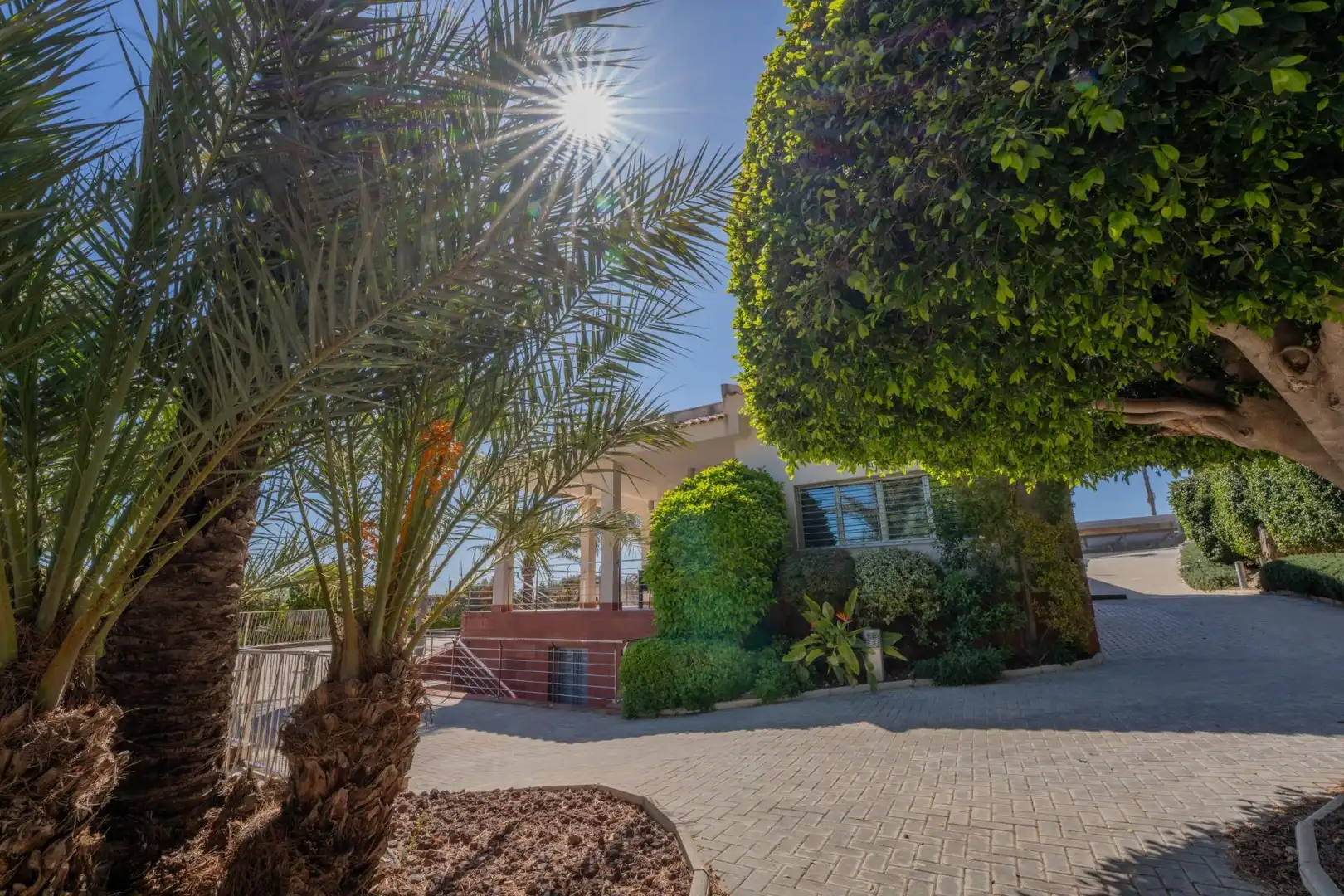Jardín de Casa o chalet en venta en Elche / Elx con Aire acondicionado, Calefacción y Jardín privado